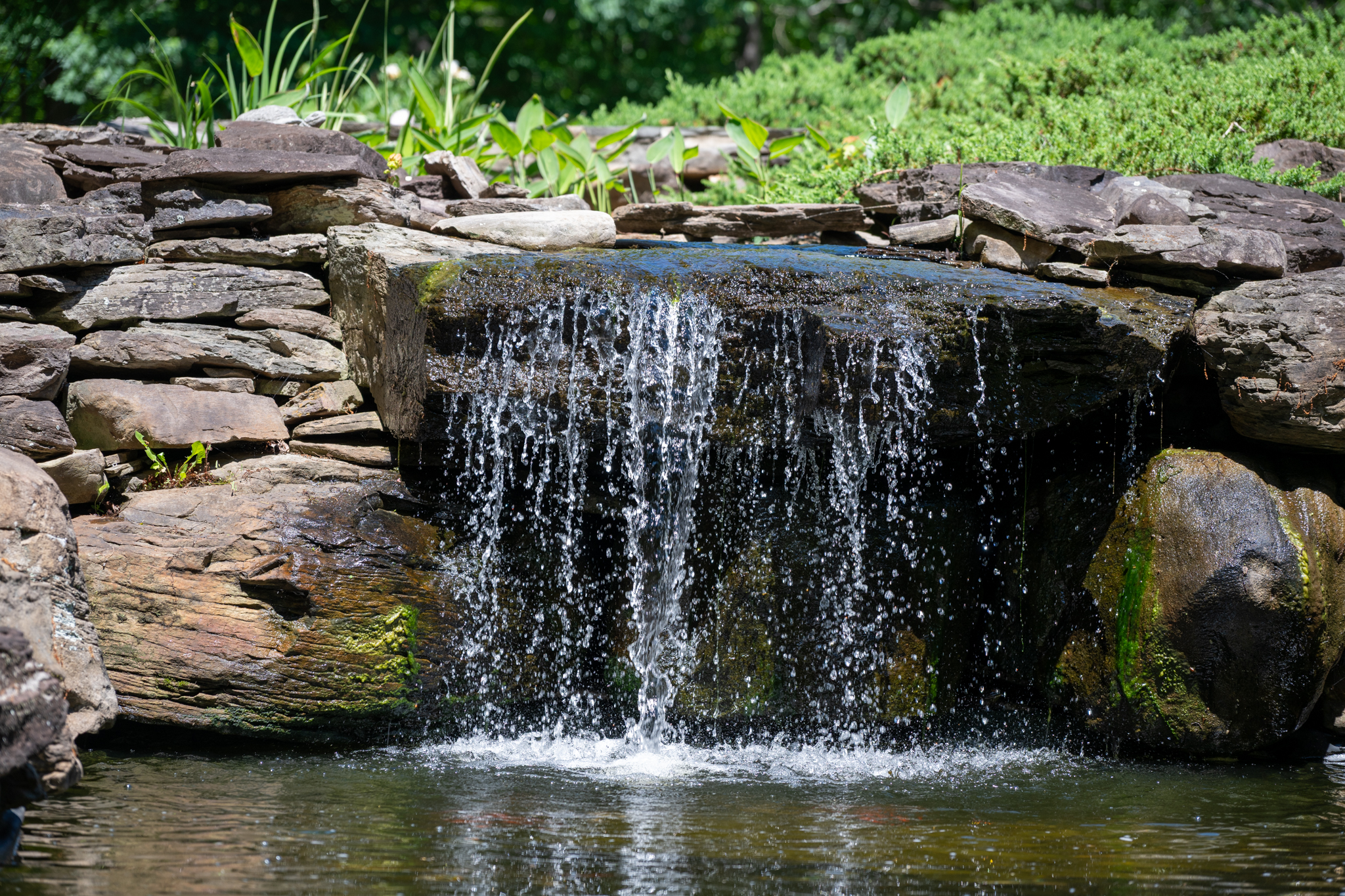 Landscape photograph with natural light and open scenery